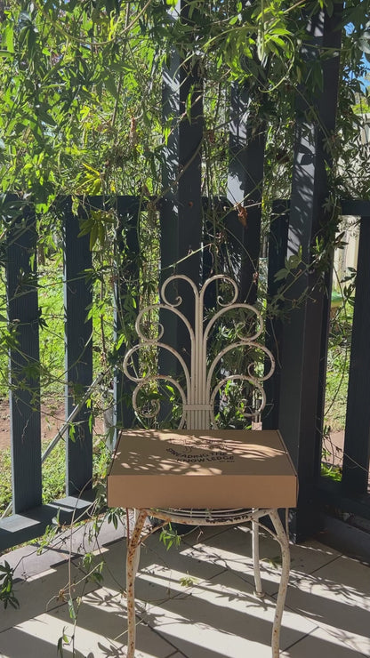 Brainjams™ Executive Function Toolkit